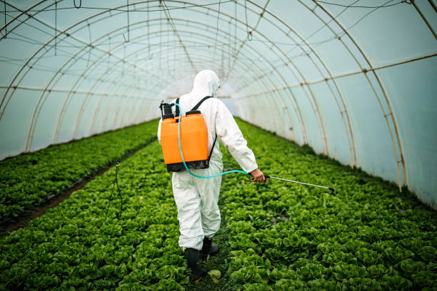 Best Local Pest Control Services  in Oakdale, LA