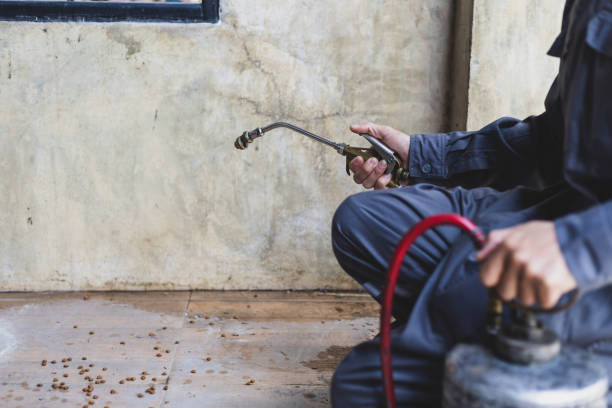 Best Pest Prevention Services  in Oakdale, LA